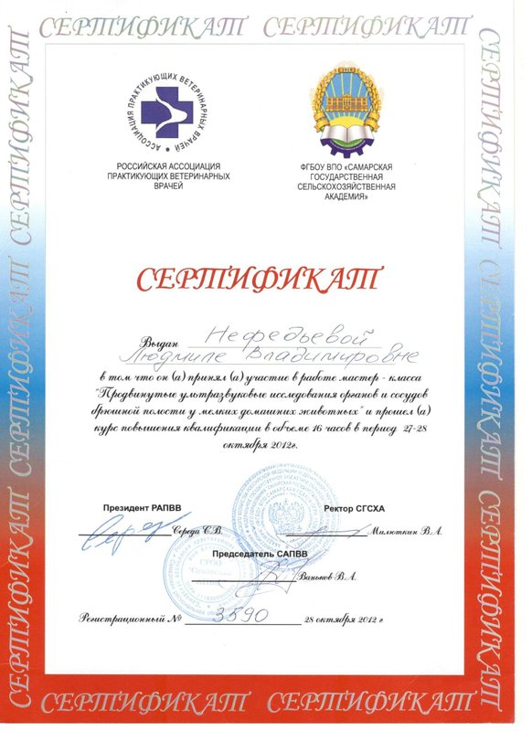 Документ или сертификат
