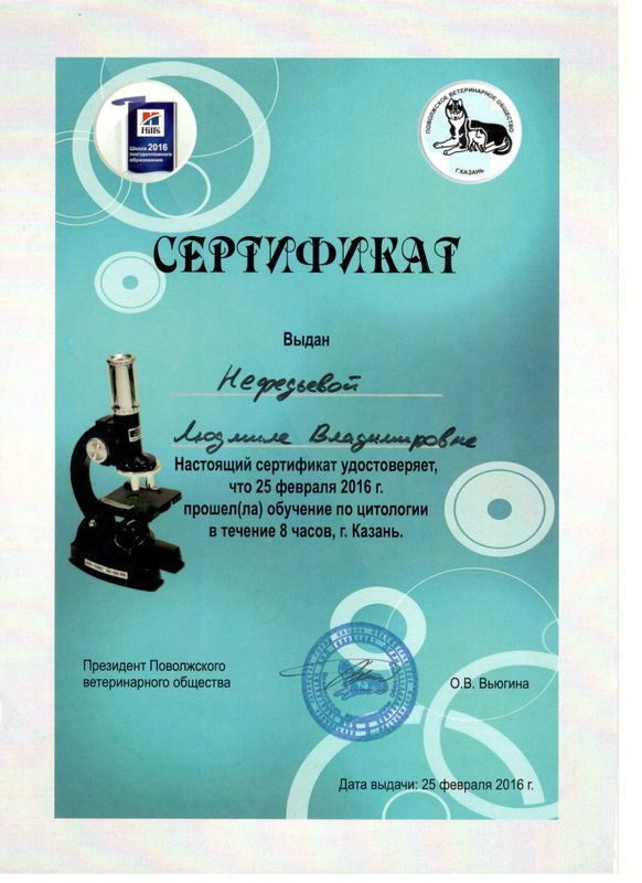 Документ или сертификат
