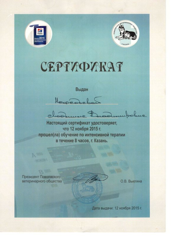Документ или сертификат
