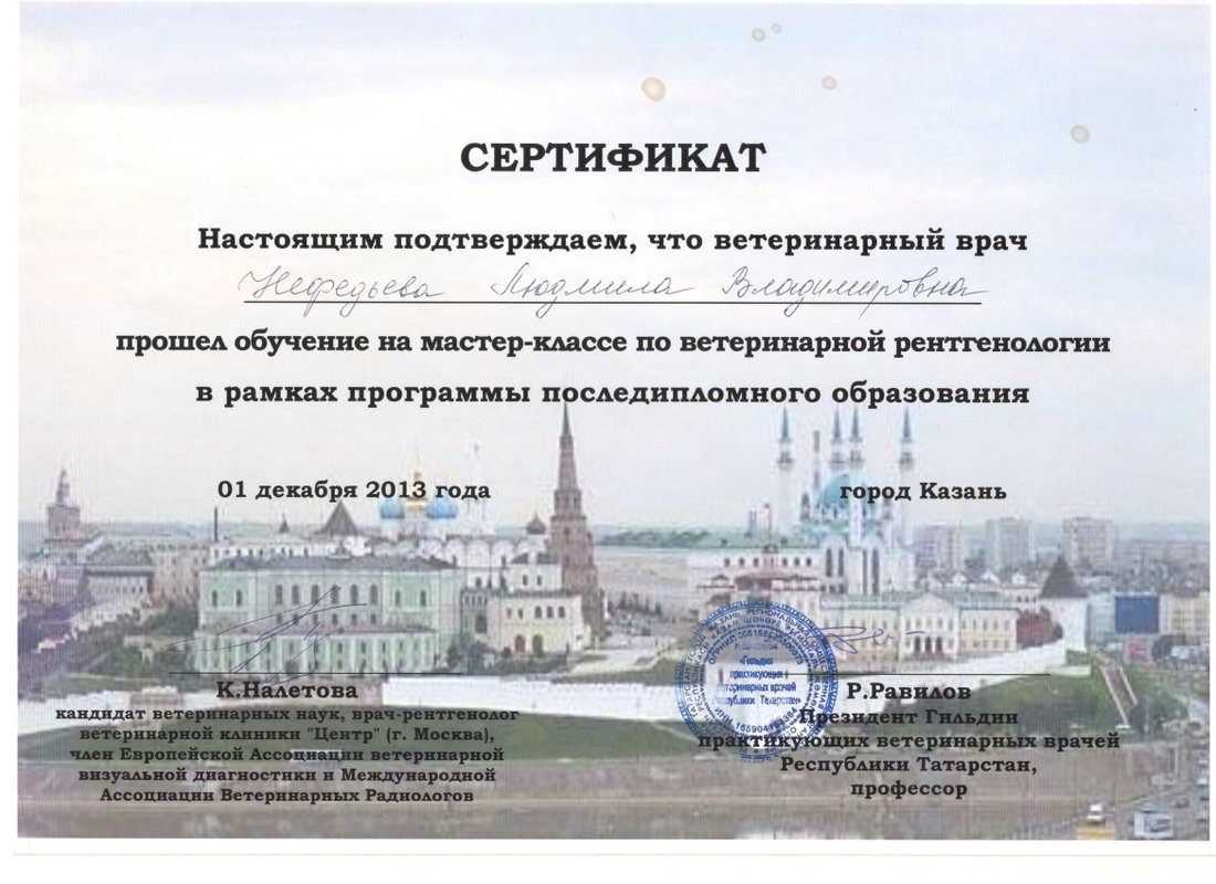 Документ или сертификат