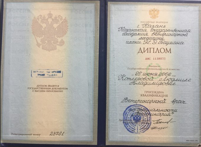 Документ или сертификат