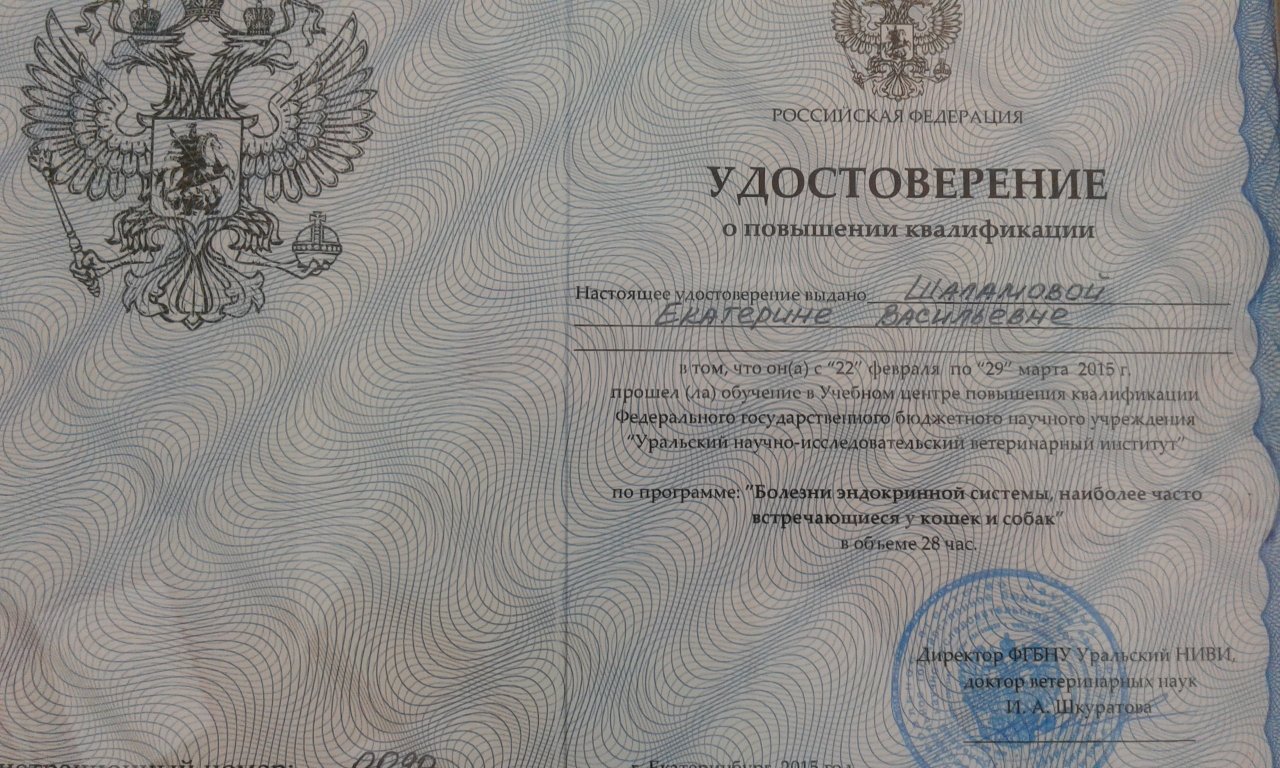 Документ или сертификат