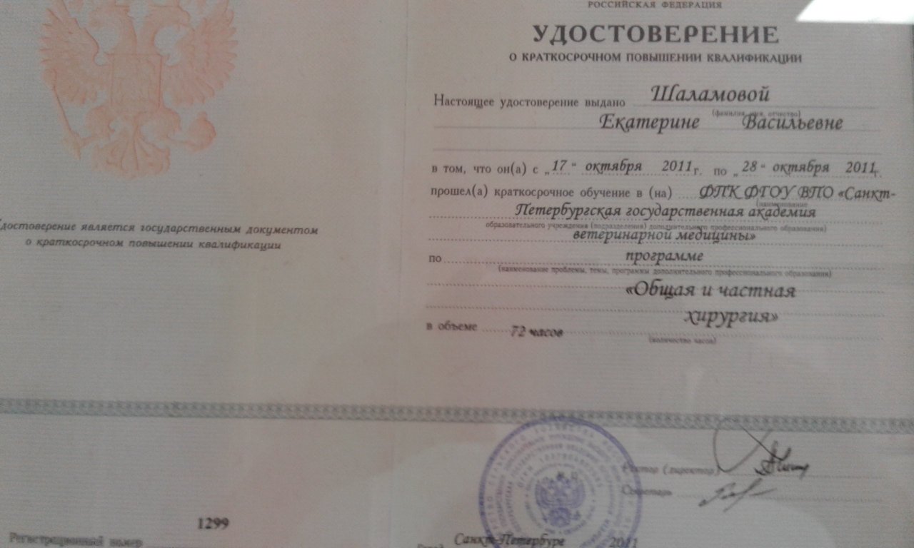 Документ или сертификат