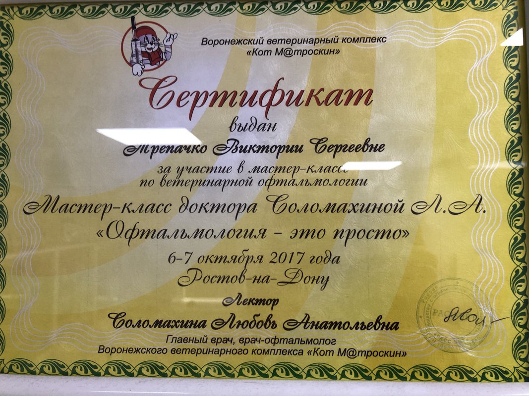 Документ или сертификат