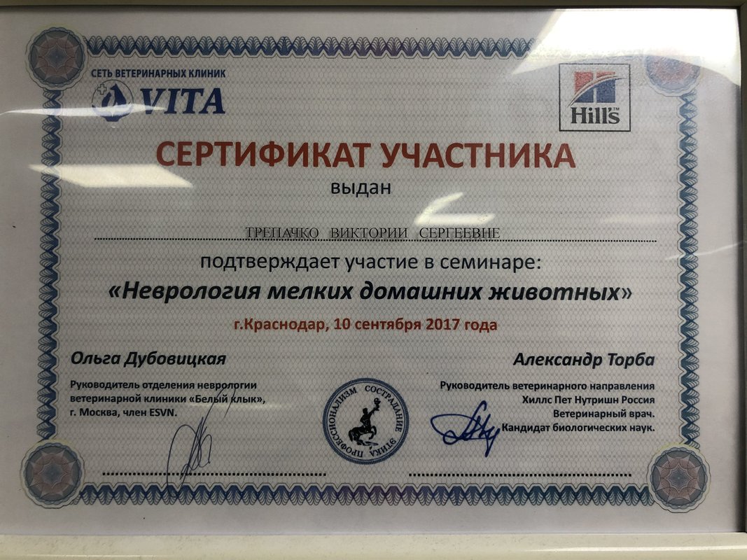 Фото врача