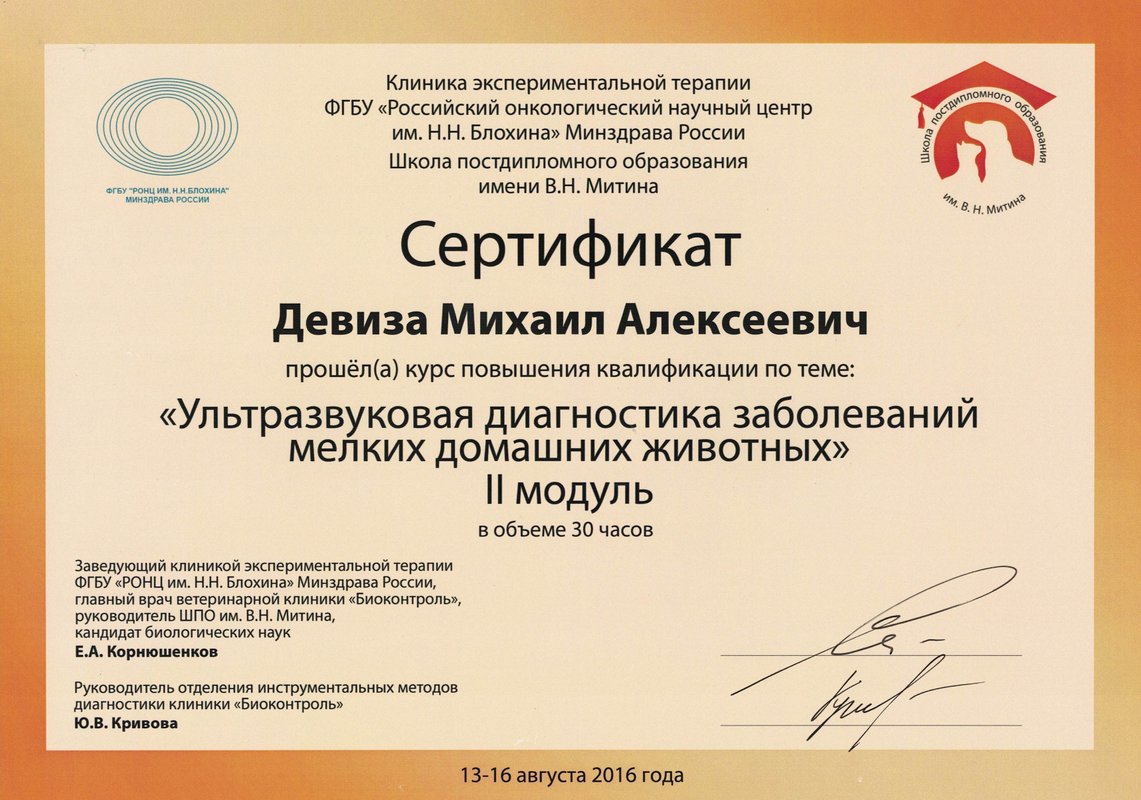 Документ или сертификат