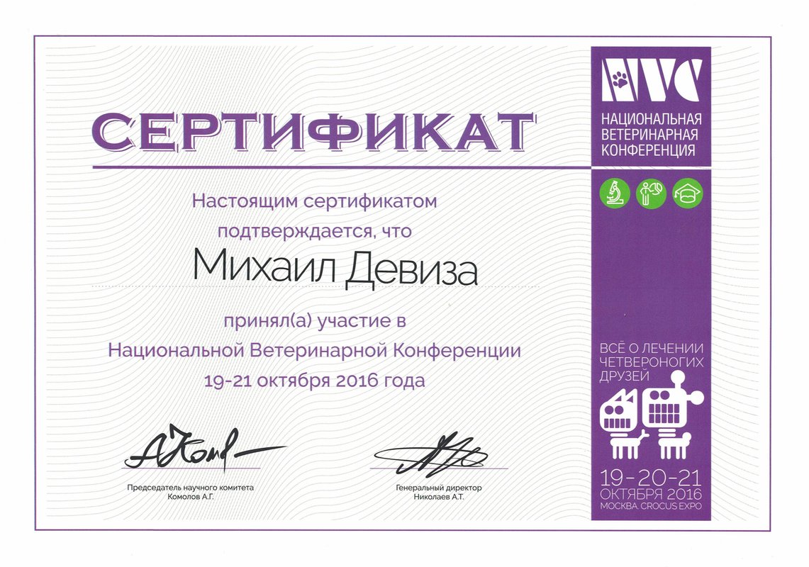 Документ или сертификат