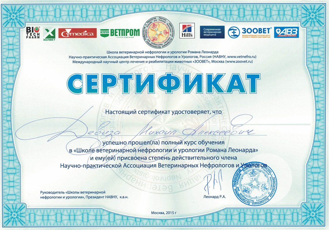 Документ или сертификат