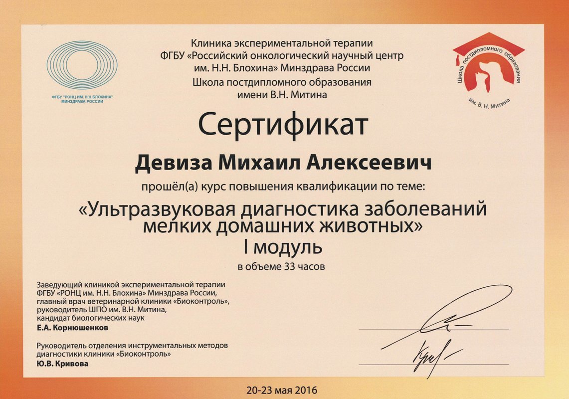 Документ или сертификат