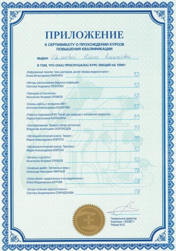 Документ или сертификат