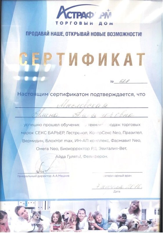 Документ или сертификат