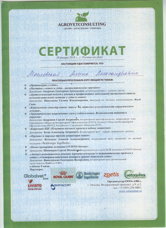 Документ или сертификат