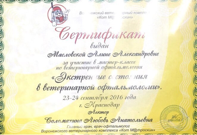 Документ или сертификат