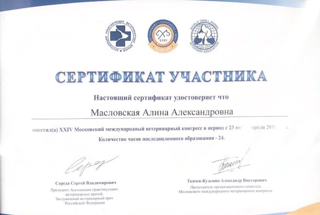 Документ или сертификат