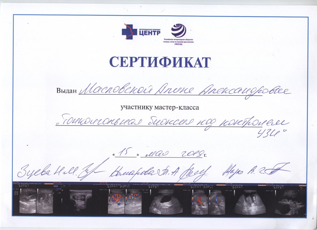 Документ или сертификат