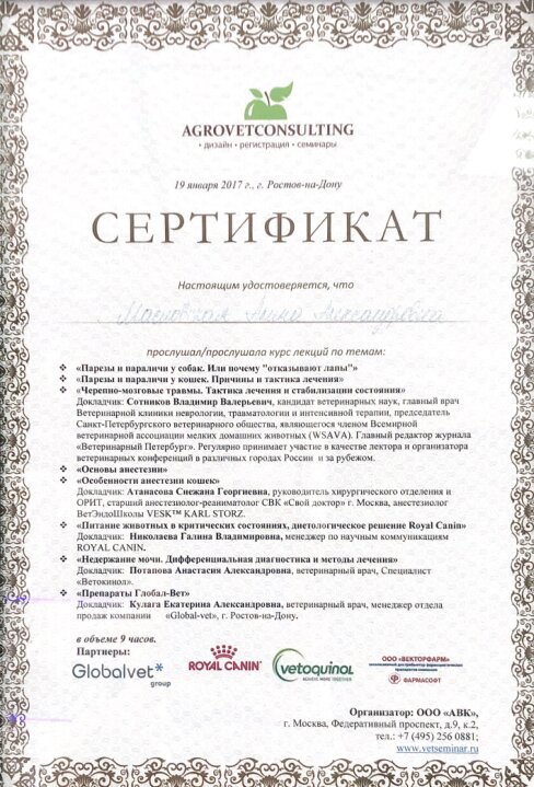 Документ или сертификат