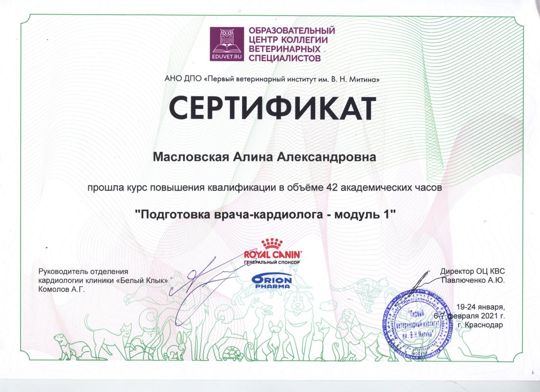 Документ или сертификат