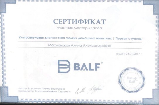 Документ или сертификат