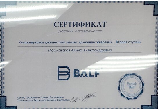 Документ или сертификат