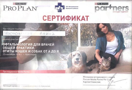 Документ или сертификат
