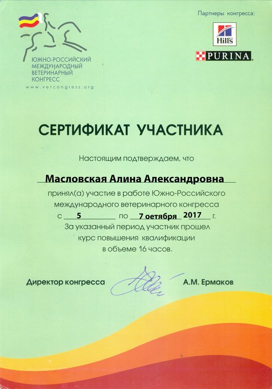 Документ или сертификат