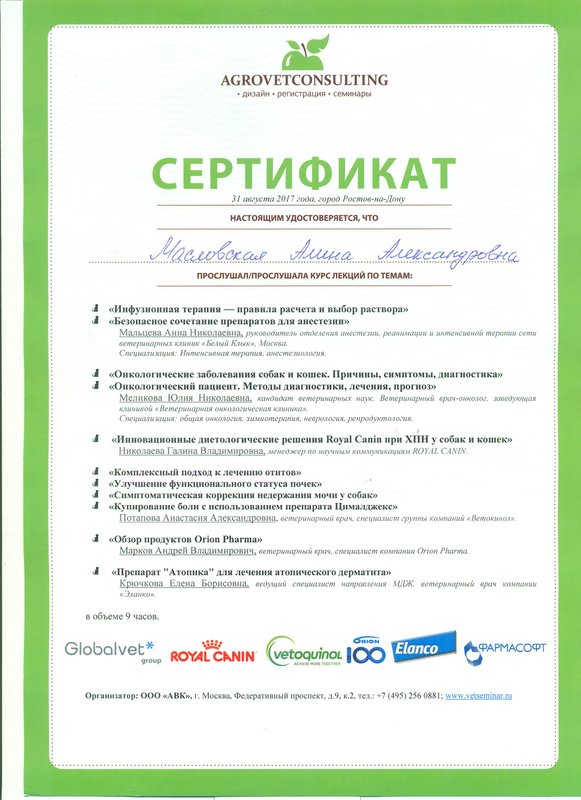 Документ или сертификат