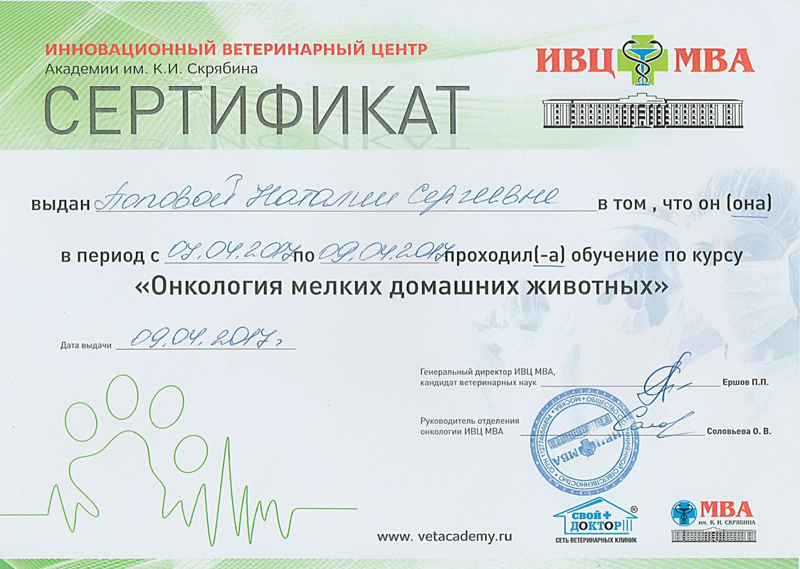 Документ или сертификат