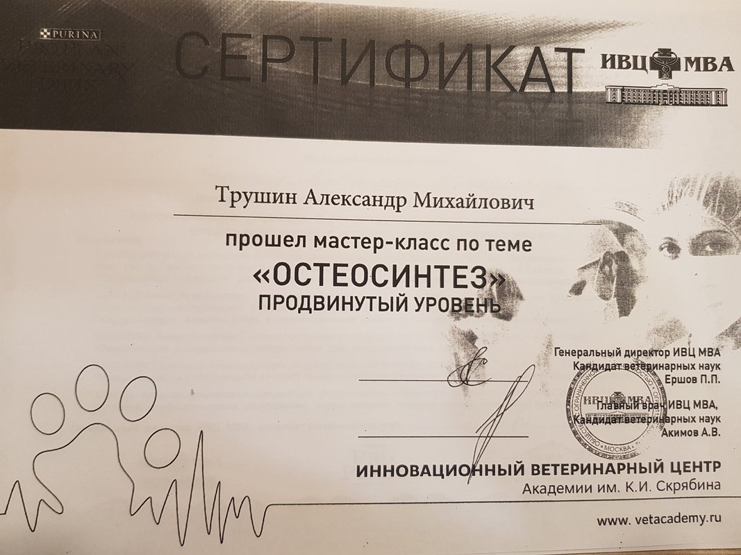 Документ или сертификат