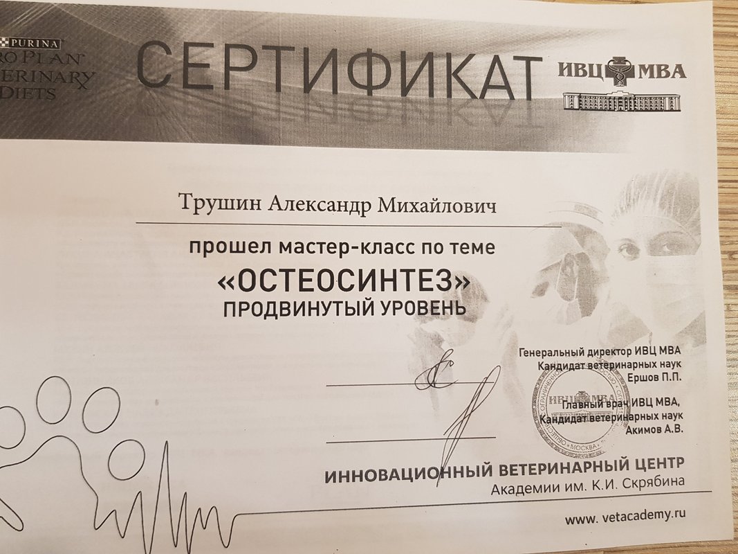 Документ или сертификат