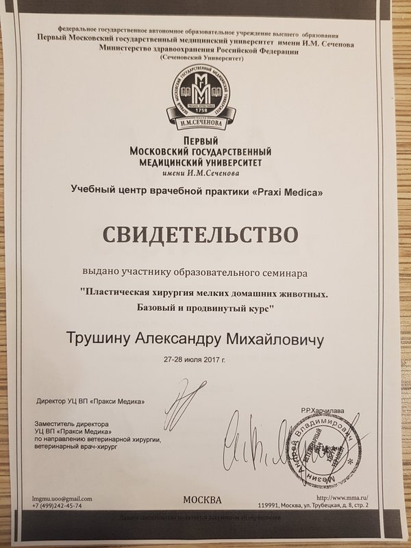 Документ или сертификат