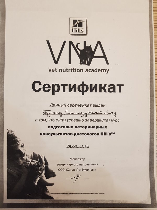 Документ или сертификат