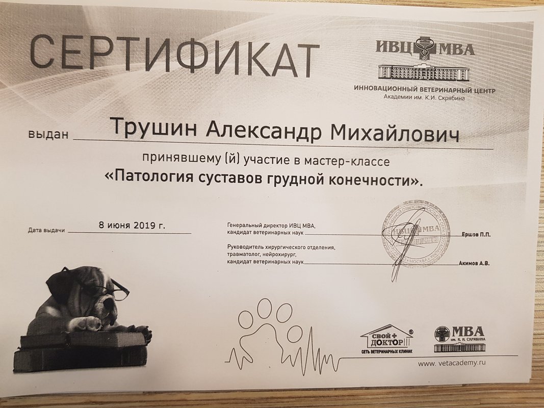 Документ или сертификат
