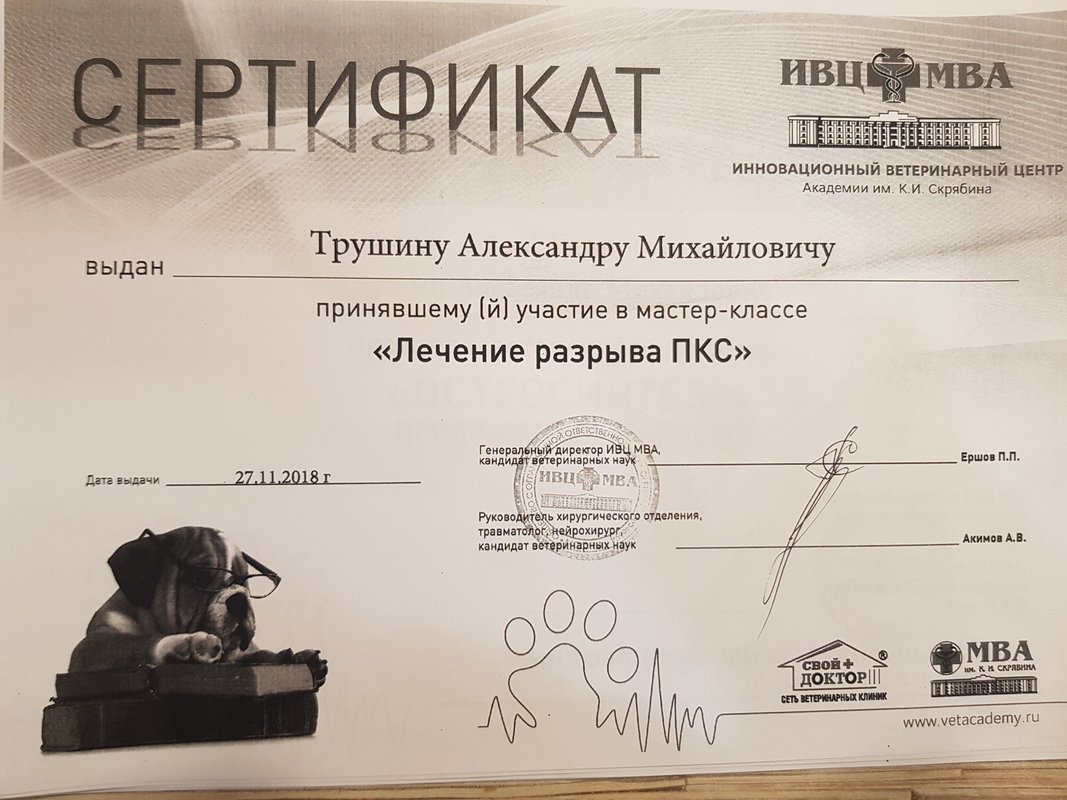 Документ или сертификат