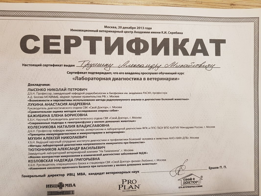 Документ или сертификат