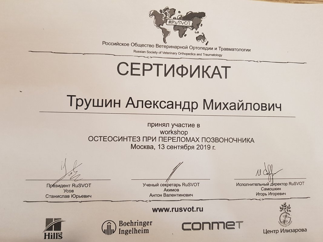 Документ или сертификат