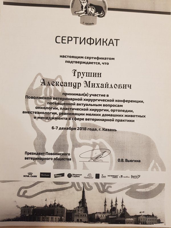 Документ или сертификат