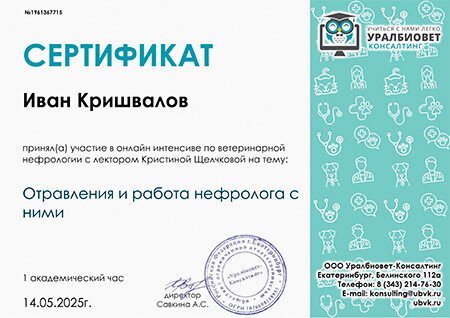 Документ или сертификат