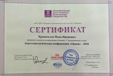 Документ или сертификат