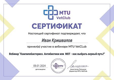 Документ или сертификат