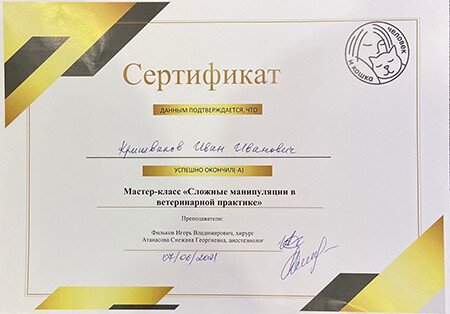 Документ или сертификат