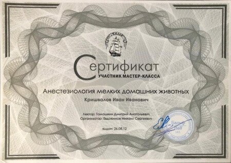 Документ или сертификат