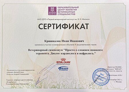 Документ или сертификат