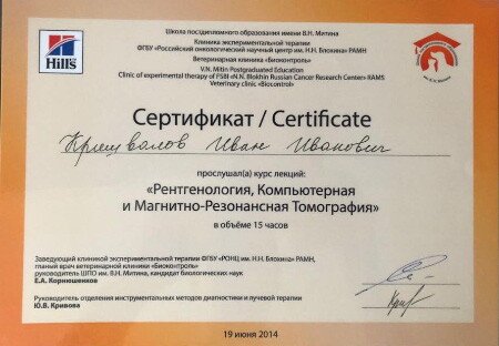 Документ или сертификат