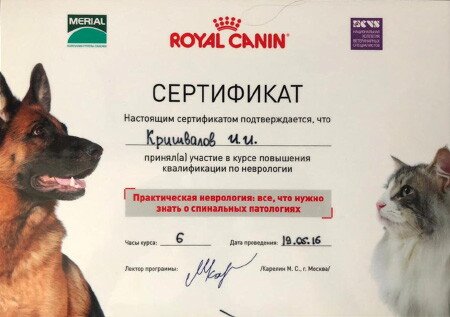 Документ или сертификат