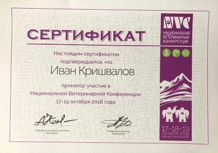 Документ или сертификат
