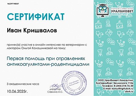 Документ или сертификат