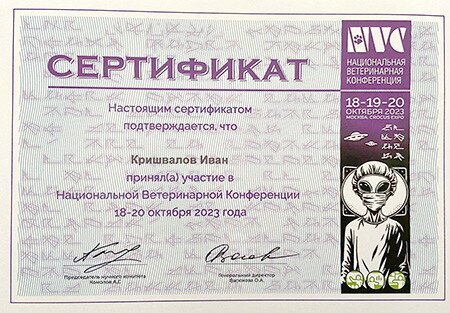 Документ или сертификат