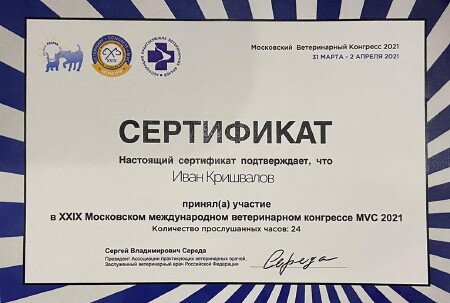 Документ или сертификат
