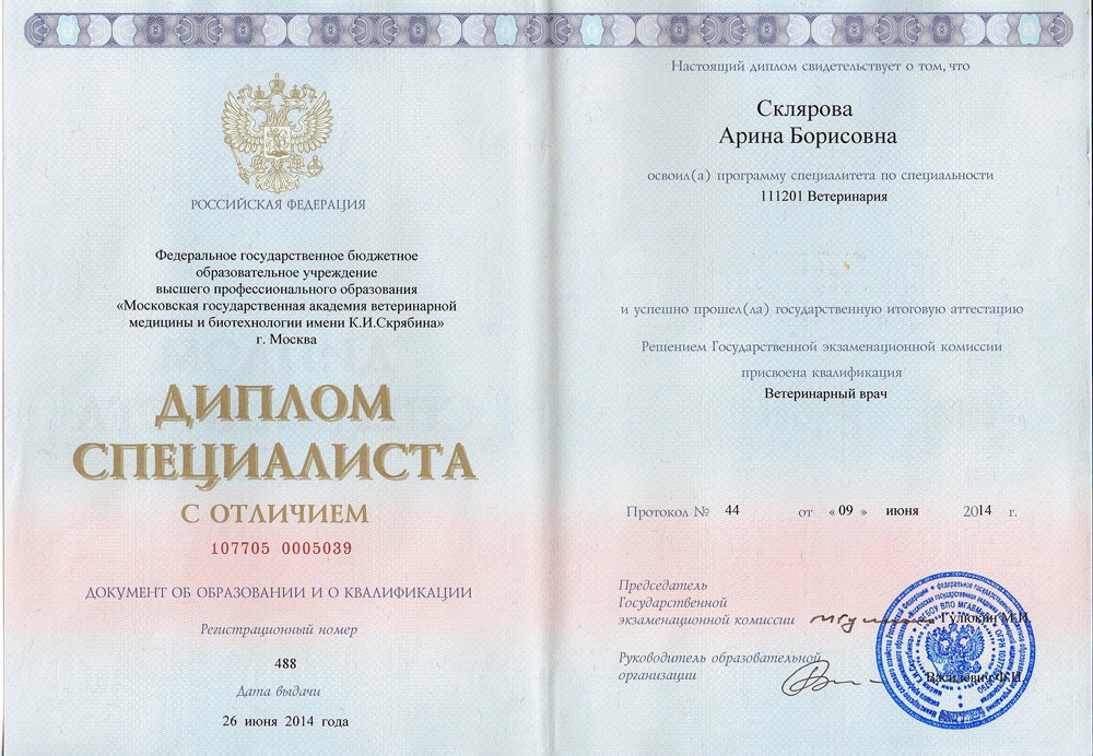 Документ или сертификат
