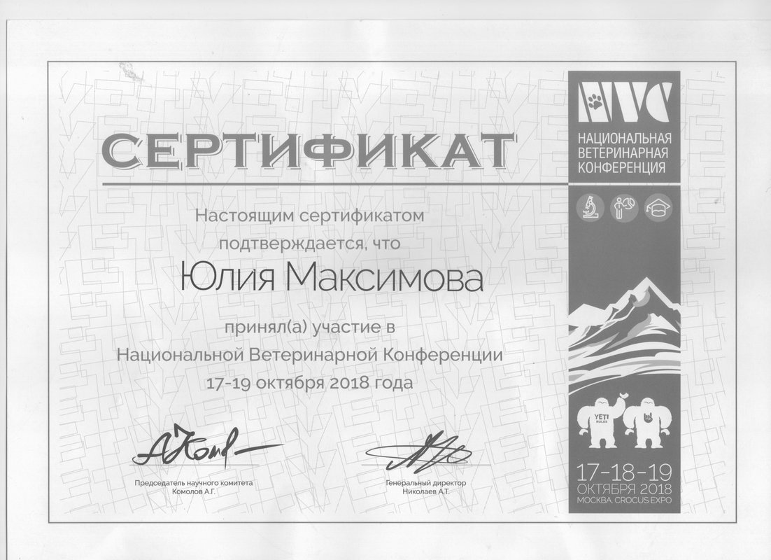 Документ или сертификат